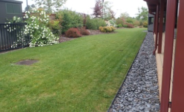 Pour l'élagage ou encore la taille d'arbres et d'arbustes, Pascal Paysages situé à Cursan près de Bordeaux avec un dépôt à Léognan se déplace sur toute la Gironde