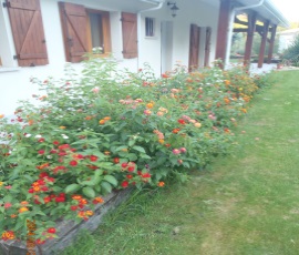 Un paysagiste au service de votre jardin à Cursan en Gironde, se déplace sur Bordeaux et la métropole